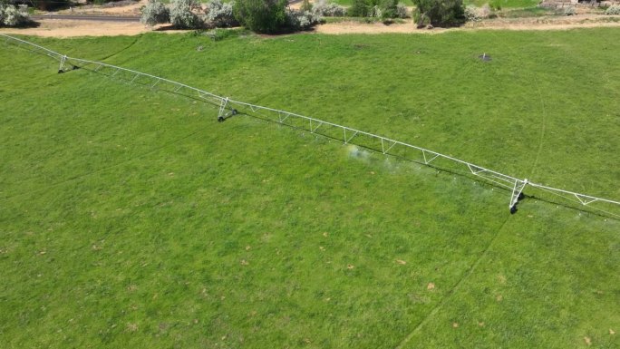 无人机拍摄的洒水系统在夏季浇灌绿色作物。