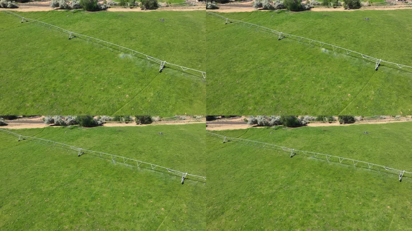 无人机拍摄的洒水系统在夏季浇灌绿色作物。