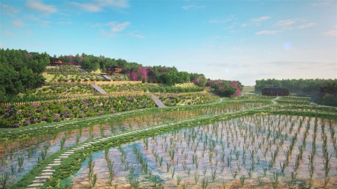 建筑动画三维场景漫游空镜鸟瞰农业水稻