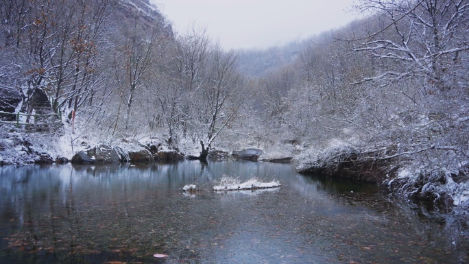 冬日雨雪唯美实拍风景大片