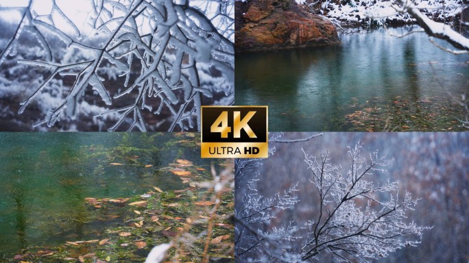 冬日雨雪唯美实拍风景大片