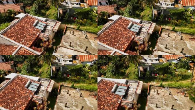 鸟瞰图显示，在居民社区冲突中，类人猿群在屋顶上奔跑。在热带环境中，灵长类动物在建筑物之间冲刺、跳跃，