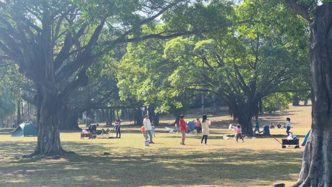 植物园花海户外野餐帐篷露营空镜素材