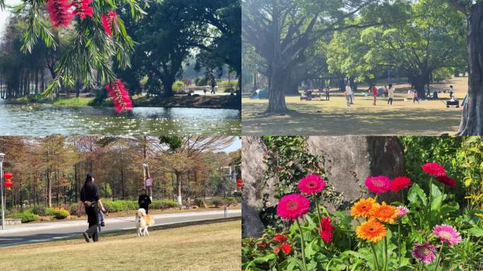 植物园花海户外野餐帐篷露营空镜素材