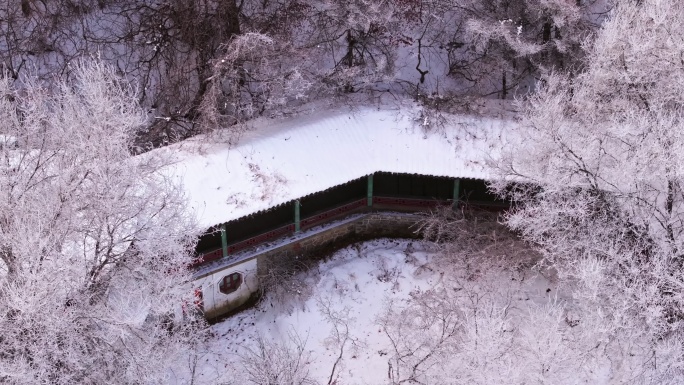 东北本溪水洞冬季雾凇树挂洁白唯美雪景航拍