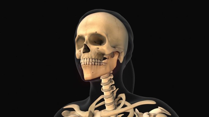 下颌骨疼痛的医学动画