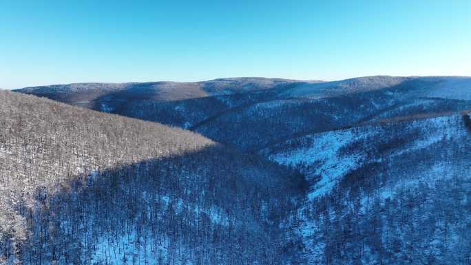 大兴安岭自然风光寒冬林海雪原