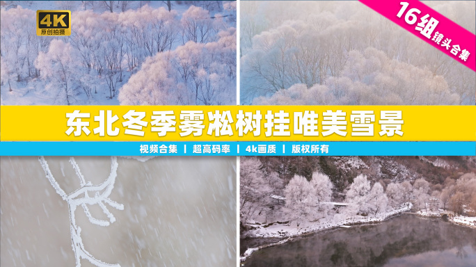 【合集】东北冬季雾凇树挂洁白唯美雪景航拍