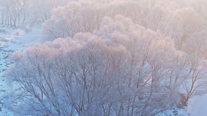 【合集】东北冬季雾凇树挂洁白唯美雪景航拍
