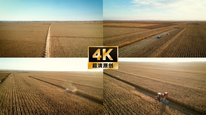 4K玉米丰收收割机航拍