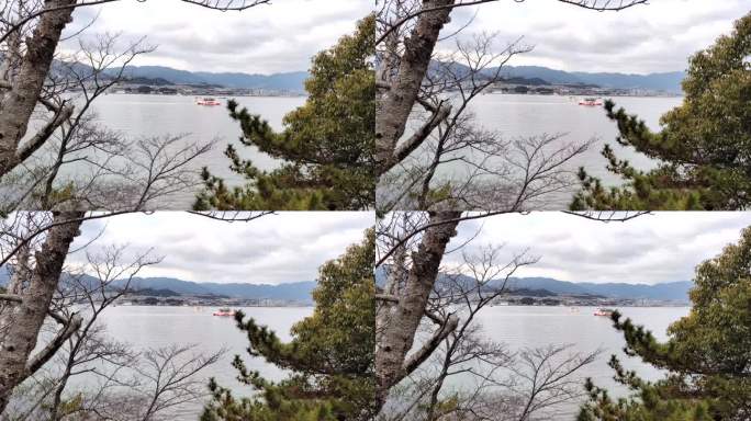 从宫岛眺望广岛。日本。