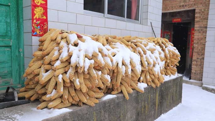 雪景下的村庄