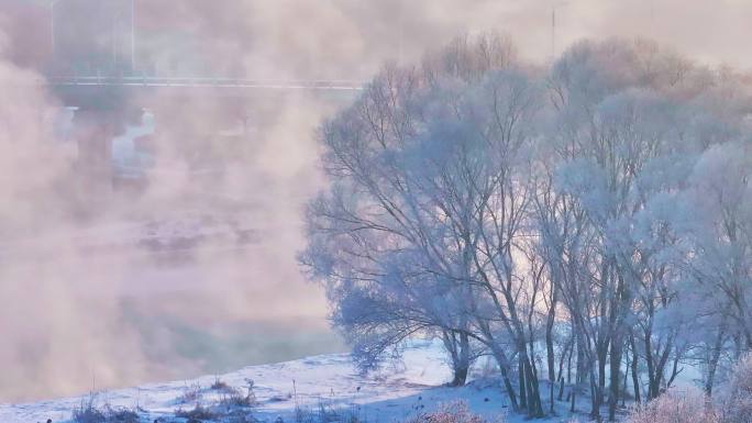 东北冬季雾凇树挂洁白唯美雪景航拍