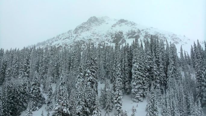 深粉雪电影航拍科罗拉多洛夫兰滑雪场艾森豪威尔隧道库恩山荒郊野外1970年冬季大雪春雪大陆分水岭落基山