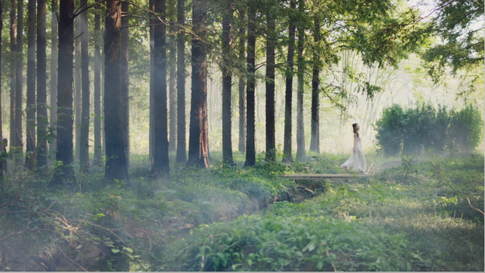 美女走进森林，女孩亲近自然