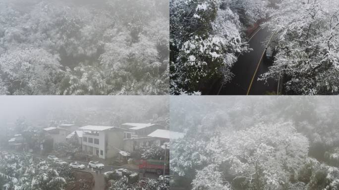 成都雪景 龙泉山雪景