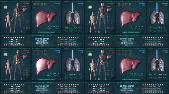 未来x光扫描中的肝脏、肺和男性大脑