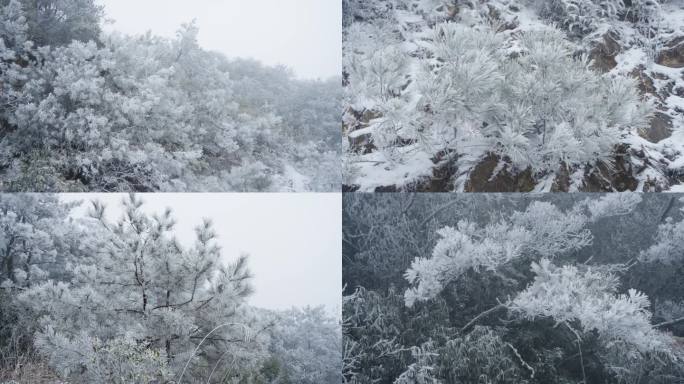 雾凇雪景静物空镜素材