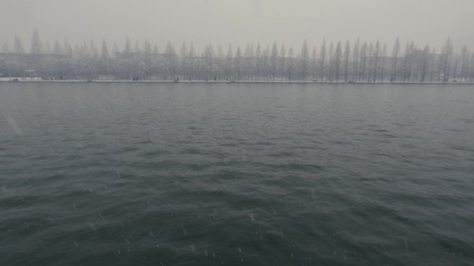 大雪中的湖面与杉树