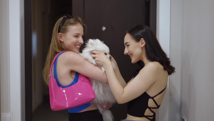 一个女孩在家门口遇见了一个怀里抱着狗的朋友。两个朋友的愉快会面。