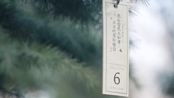 大雪节气2024年12月6日