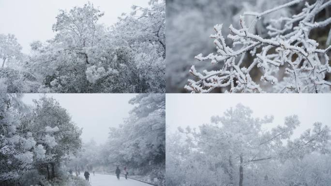 雾凇雪景静物空镜素材