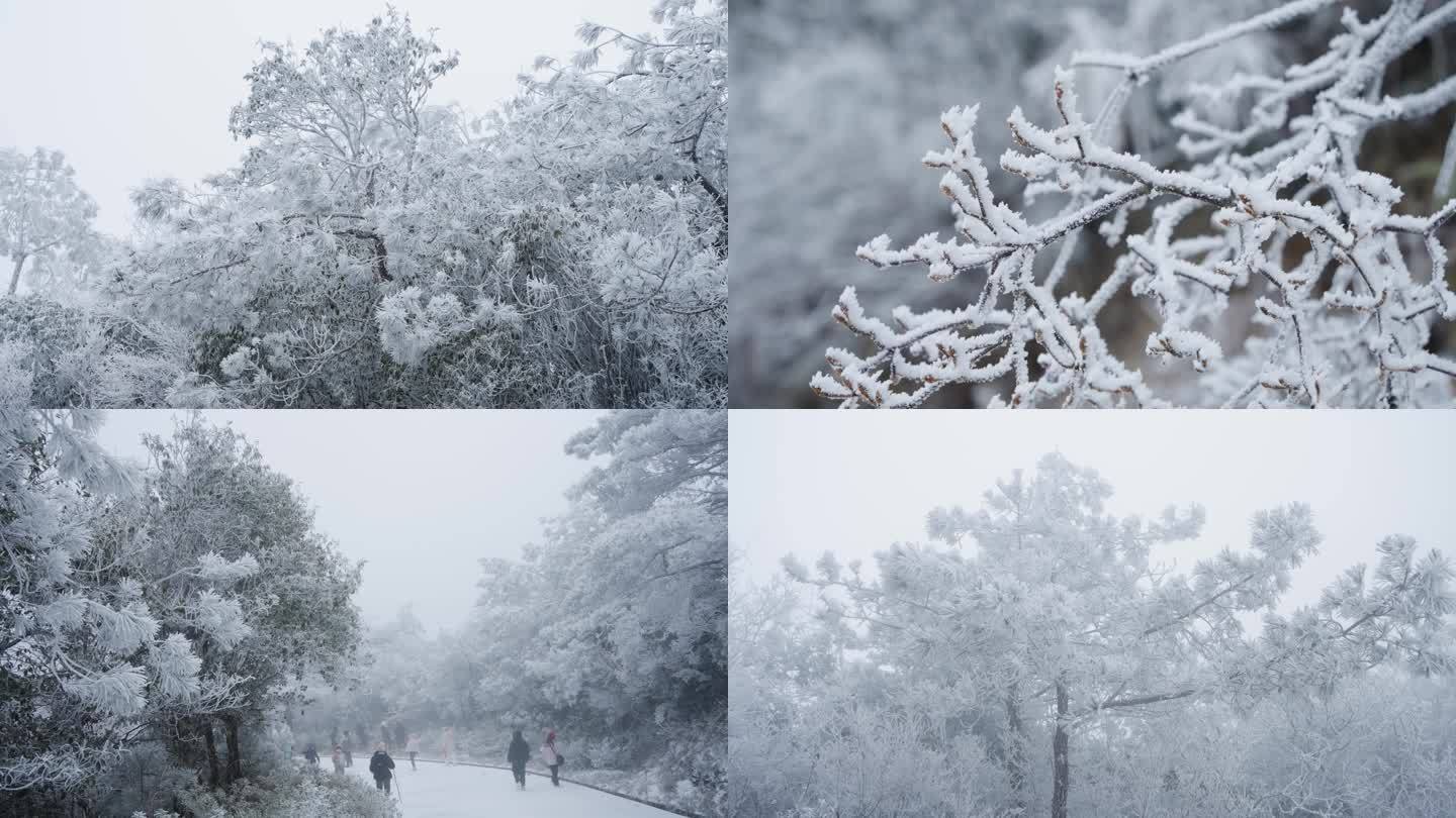 雾凇雪景静物空镜素材