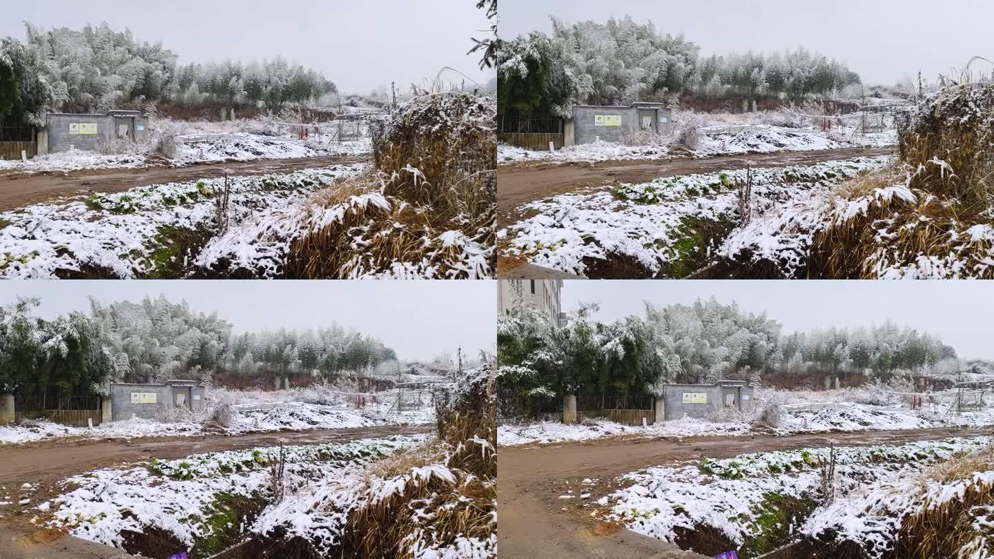 下雪时的冬景