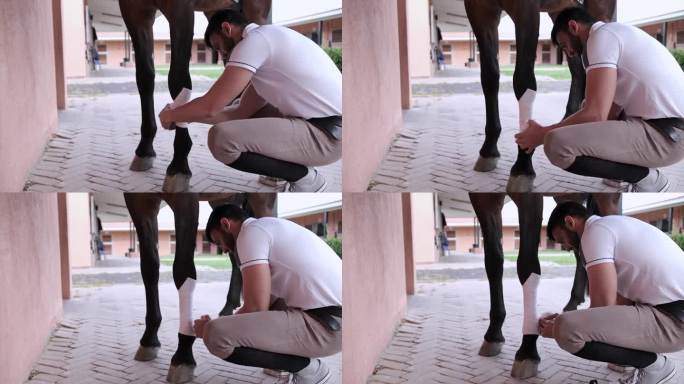 在马厩里，骑手跪在地上，用白色的绷带缠着马腿。