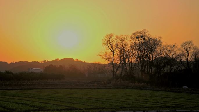 乡村田野夕阳落日