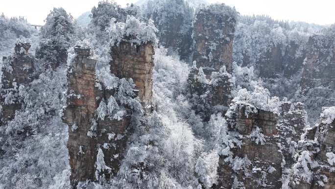 武陵源天子山 西海峰林4k航拍