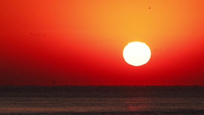 日出4k 太阳升起 延时海上日出