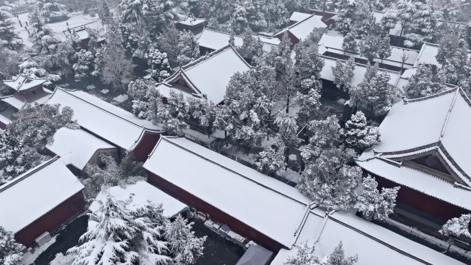 航拍洛阳白马寺雪景