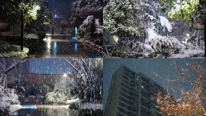 雪夜 温州 乐园