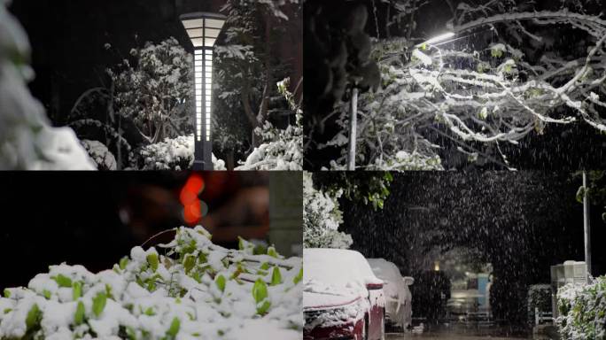 街道雪景小区下雪积雪夜景路灯下唯美飘雪
