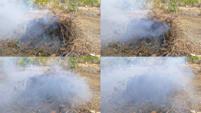 焚烧园林植物废弃物，园林养护清洁，焚烧废草，