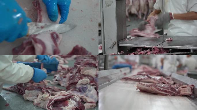 羊肉生产线 切割 肉