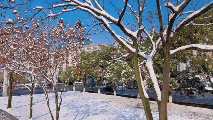 施光南广场金东区航拍雪景