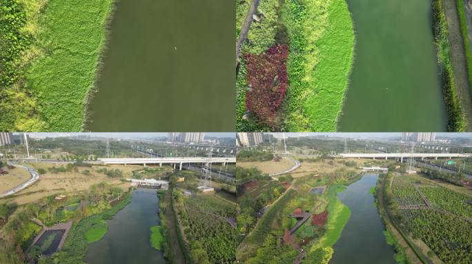 【高清】广西南宁兴宁区那考河湿地公园航拍