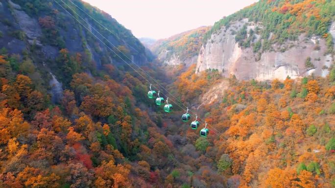 铜川照金香山红叶