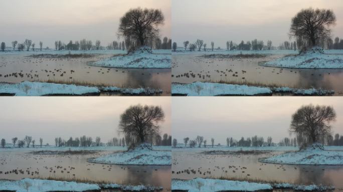 呼和浩特千岛湖