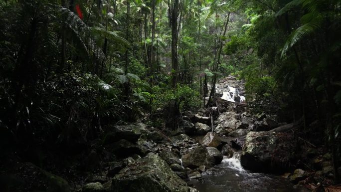 水沿着层叠的雨林溪流蜿蜒流过热带丛林绿洲。电影无人机揭秘