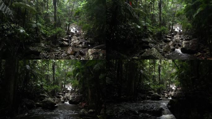 水沿着层叠的雨林溪流蜿蜒流过热带丛林绿洲。电影无人机揭秘