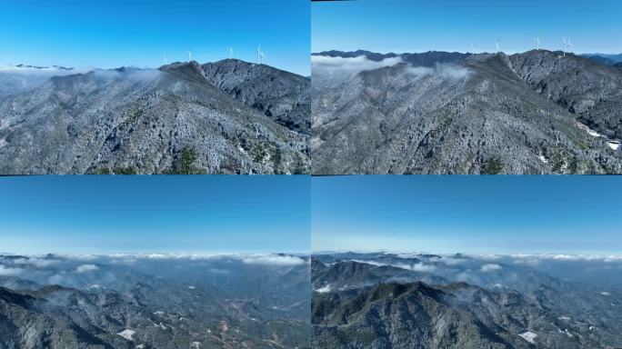 【4K】武夷山政和县白茶茶园雪景航拍