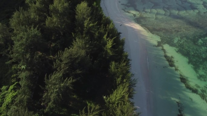 北马里亚纳群岛塞班岛白色沙滩鸟瞰图