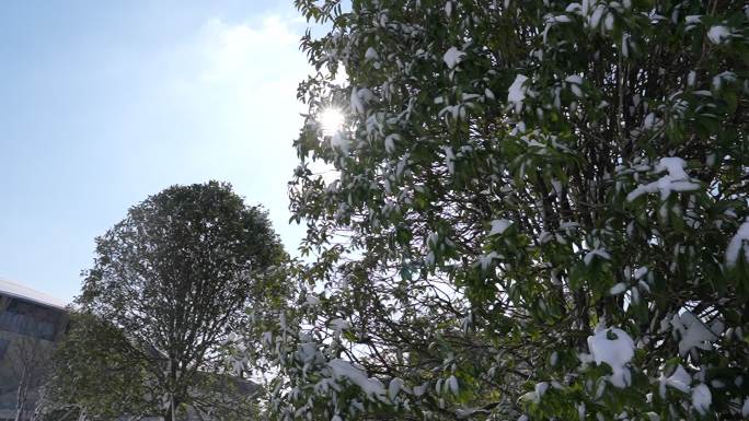 益阳 一园两中心 雪景航拍宣传片空景