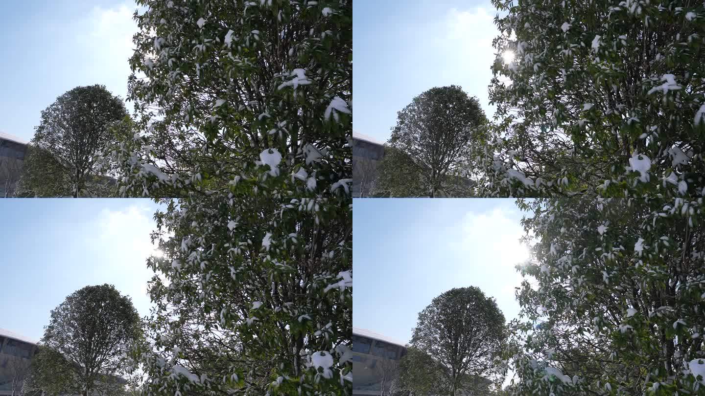 益阳 一园两中心 雪景航拍宣传片空景