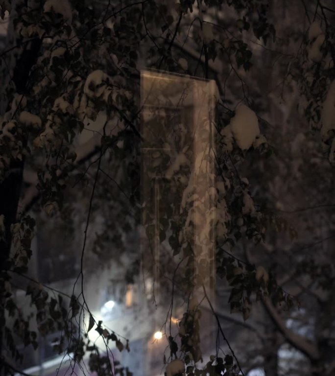 雪，夜，窗景，反射门