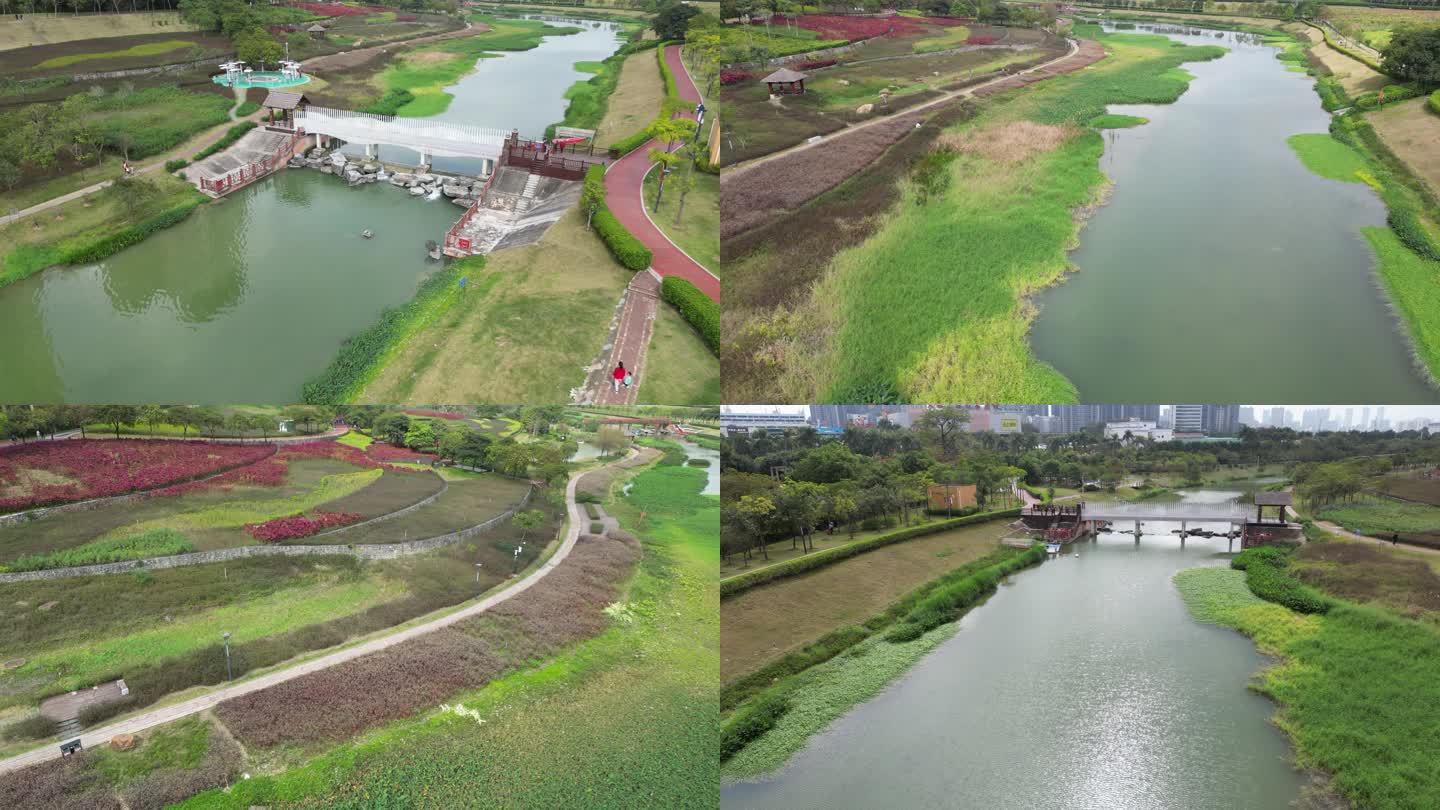 【高清】广西南宁兴宁区那考河湿地公园航拍