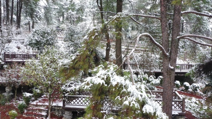 航拍重庆北碚金领地山地越野公园喜降瑞雪